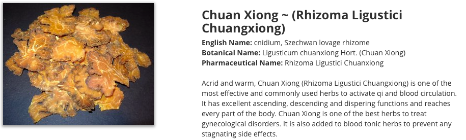 Chuan Xiong lovage