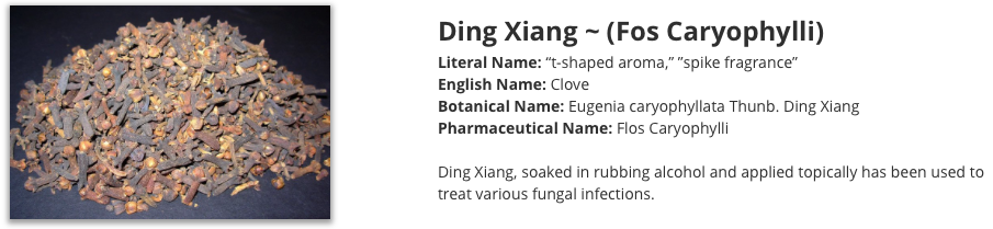 Ding Xiang clove