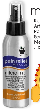 2.5oz Travel Spray